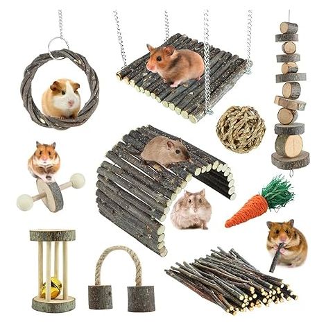 Hamster Toys, Rat, Chinchilla, Hamster Chew Toys, Wood Cage Accessories, Ladder, Bell, Roller for Gerbil, Guinea Pig and Other Small Animals (1/5)