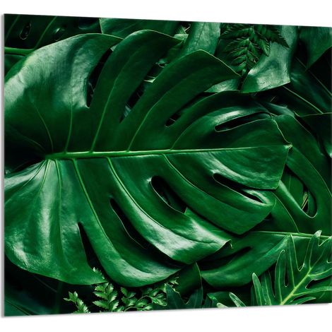 Panneau de verre pour la cuisine 65x60 Monstera (1/5)