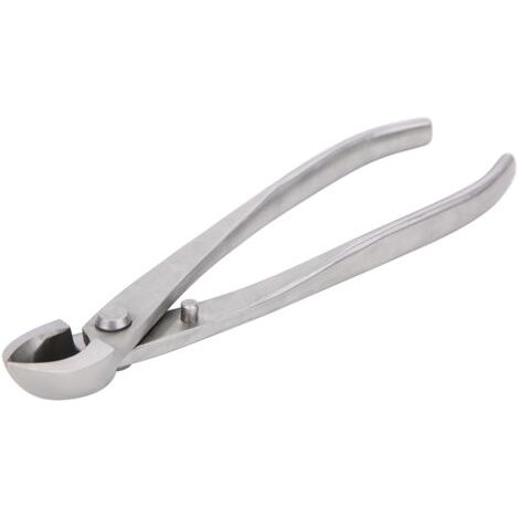 BUNTHAUS Ciseaux De Jardinage Manuels En Acier Inoxydable Pour Bonsaï, Taille 20.5cm