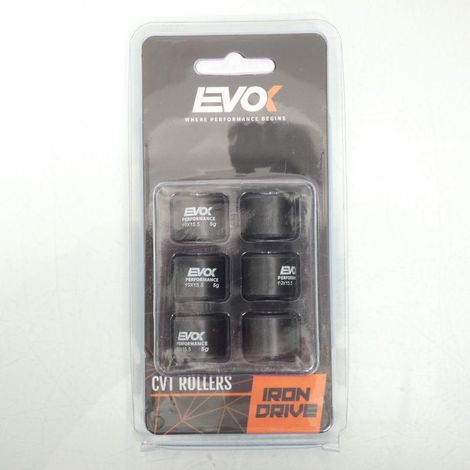 Variomatik-Rolle EVOK für Roller Piaggio 50 ZIP 2T AC 2009 bis (1/4)