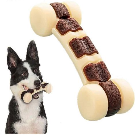 (M) Jouet indestructible pour chien, os à mâcher, saveur bœuf, pour l'entraînement et le nettoyage des dents, pour chiens moyennement agressifs de 7 à 15 kg (1/5)