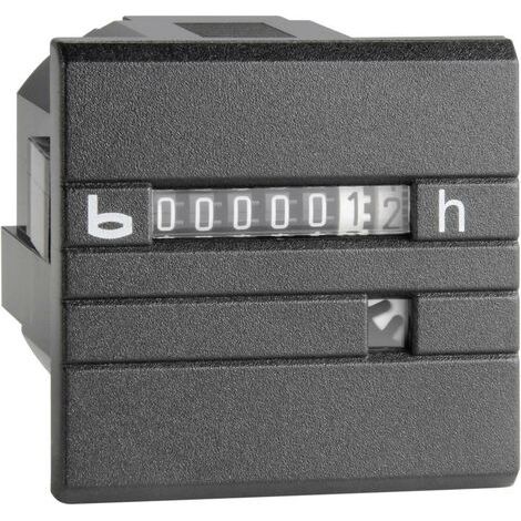 Bauser 632 A.2/008-001-1-1-001 Compteur horaire série 632 (1/4)