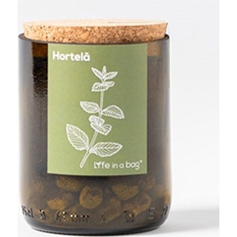 Kit bouteille Prêt à pousser Menthe (1/3)