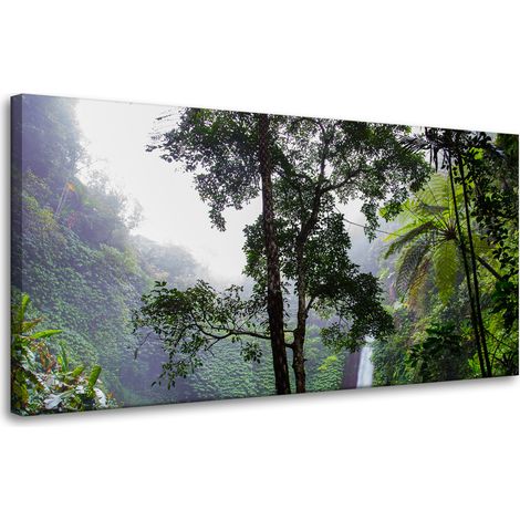 Leinwanddruck Natur Tropischer Wald 80x40 cm