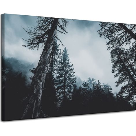 Leinwanddruck Natur Baumkronen 120x80 cm
