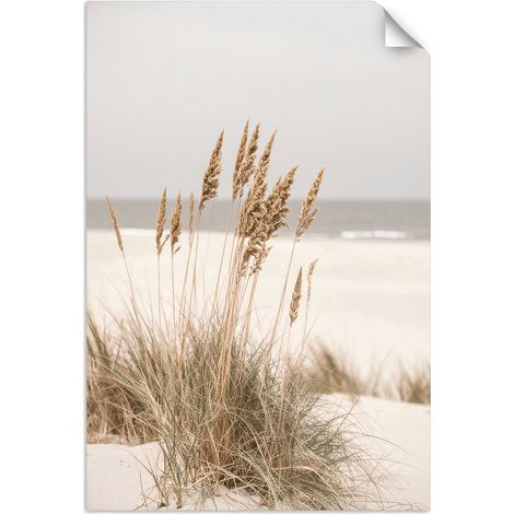 Selbstklebendes Poster – Wandsticker Strand Meer Pflanzen Natur Beige 60x90 cm