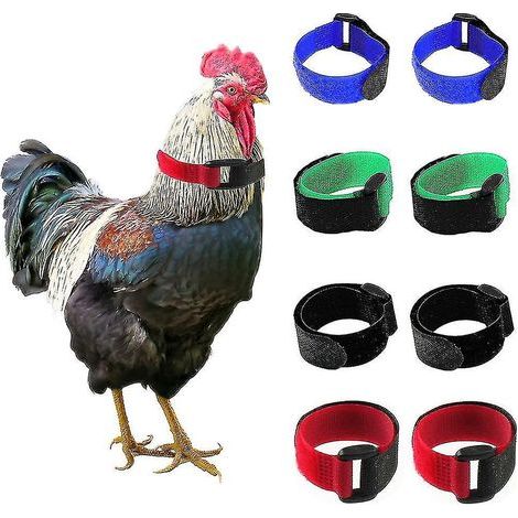 Hochwertiges, verstellbares, weiches Hahnenkrähenhalsband (2er-Pack), schwarz.