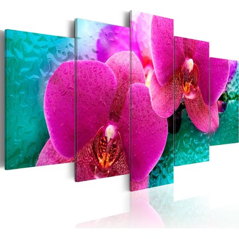 Quadro - Exotic orchids - 200x100 (1/4)