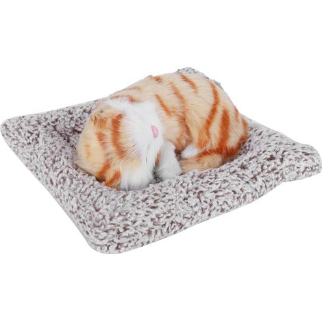 Chaton Décoratif en Charbon Actif - Jouet Éducatif et Cadeau d'Anniversaire pour Enfants (17x17x12 cm) (1/5)