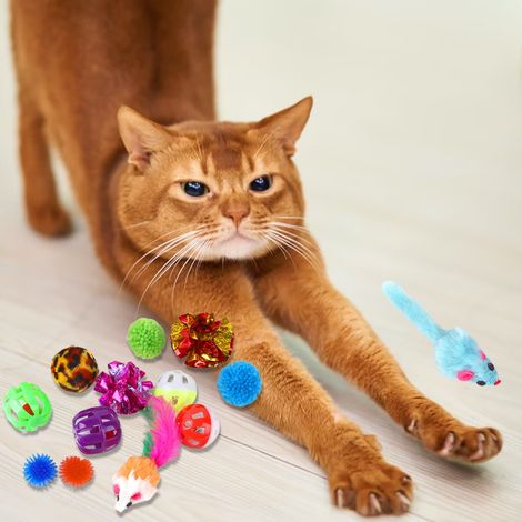 14 jouets pour animaux de compagnie avec de l'herbe à chat (1/4)