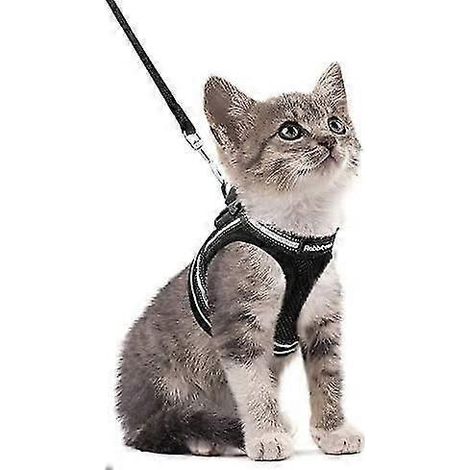 Harnais pour chaton avec laisse, doux et réglable pour plus de confort