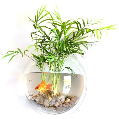 Aquarium mural décoratif pour poissons rouges, aquarium suspendu en acrylique, pot de fleurs, vase (1/5)