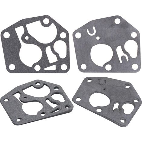 BRIGGS & STRATTON Membrana 10X795083 004251