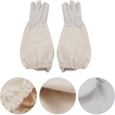 Gants de Protection Apicole à Manches Longues en Toile pour Débutants (XXL)