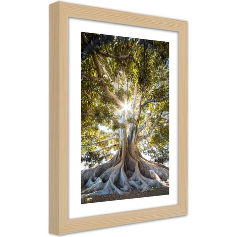 Quadro con cornice, Grande albero esotico - 20x30 (1/5)