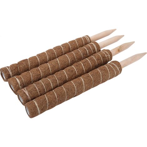 Lot de 4 tuteurs pour cocotiers de 45 cm, bâtonnets de mousse, supports en fibre pour plantes grimpantes (1/5)