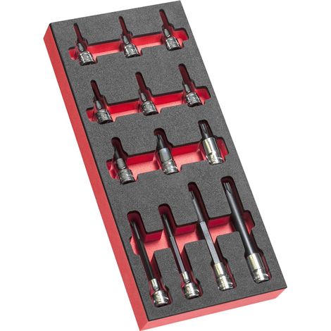 FACOM Schaumstoffmodul 13x Torx Stecks. 1/2 (1/2)