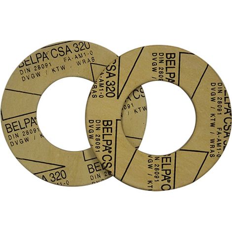Lot de 2 Joints Universel pour Bride DN 80 - Thermador (1/4)