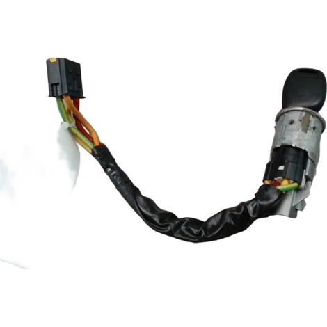Antivol De Direction RENAULT Clio II Phase 2 2001-2006 [PRODUIT D'OCCASION]♻️7701471220 (1/3)