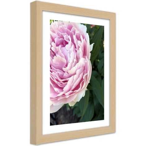 Quadro con cornice, Bella peonia rosa - 40x60 (1/5)