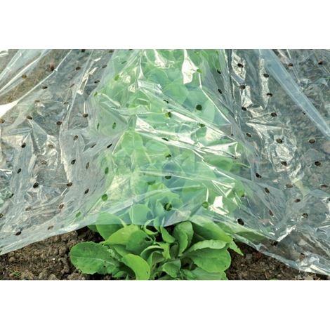 Bache Contro Freddo Vegetale 1,5X10M Trasparente Circumpro