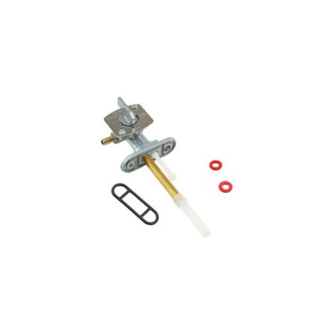 Sollbry Lot de 2 robinets antiseptiques pour carburant essence (1/4)