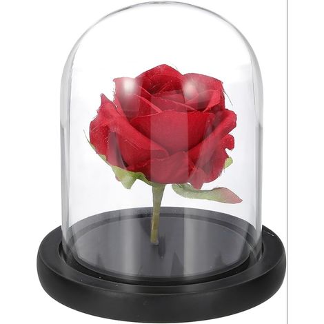 Cloche en Verre Dome D'affichage, 5.1" x 3.9" Boite D'exposition Base en Bois Coffret De Table Decoratif pour Plante Decoration Maison, Noir (1/5)