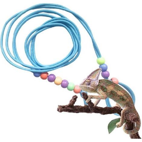Laisse dragon barbu et harnais imprimé léopard, laisse pour animaux de compagnie, laisse lézard, laisse lumineuse (perles colorées) (1/4)