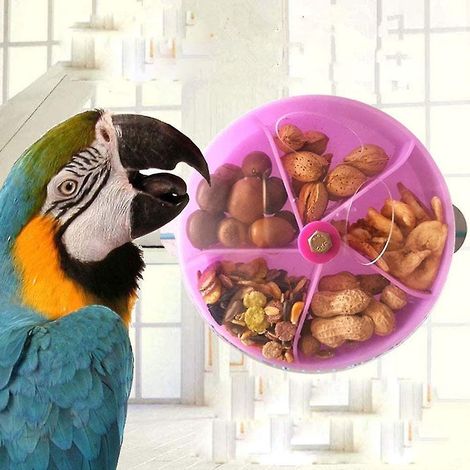 Jouet de nourrissage pour oiseaux Jinglin, boule de graines rotative pour perroquets, gris du Gabon, cacatoès, aras, inséparables, pinsons, canaris, mangeoire pour cage, 1 pièce, violet (1/5)