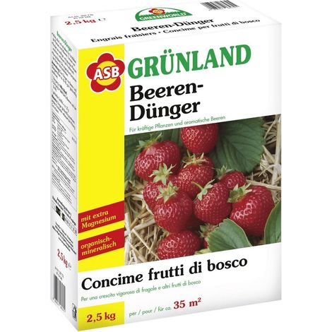 ASB Greenworld Spezial-Beerendünger 2,5 kg Dünger Spezialdünger Beeren