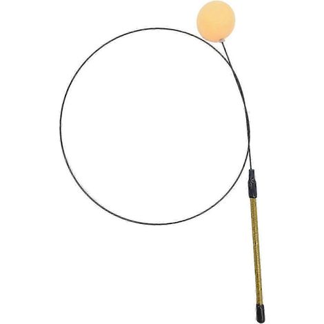 Baguette à chat, balle à jouer, jouet à ficelle pour chat d'intérieur, jouet interactif pour chat à griffer, à attraper et à poursuivre-No Suction Cup (1/5)