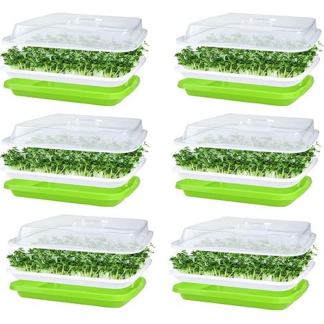 6 Pièces Plateaux De Germination De Graines Avec Couvercle, 32cm x 26cm Plateau De Germination De Grande Capacité Sain Sans BPA Propagateur Hydroponique (1/5)