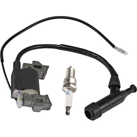 Bobine d'allumage 196cc 212cc pour GX120 GX140 GX160 Predator 212cc pour Coleman Ct200u 5.5hp 6.5hp moteur et générateurs (1/5)