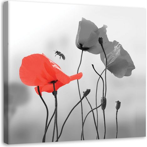 Tableau sur toile Coquelicots rouges 30x30 (1/5)