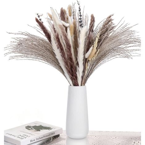 Packung mit 102 getrockneten Pampasgrasstängeln, Trockenblumen, elegante Pampasgras-Dekoration, getrocknete Herbstblumen, ideal für Boho-Wohnzimmer, Schlafzimmer, Büro, Hochzeiten, Partys und Vasen (1/5)