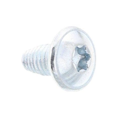 VIS 4,9 X 9,5 TTL TORX POUR SECHE LINGE ELECTROLUX - 1325079034 (1/2)