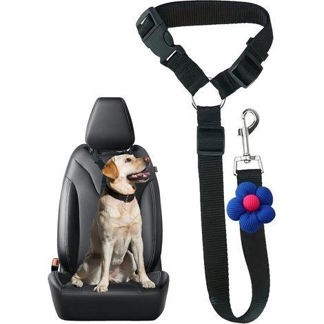 Hundesicherheitsgurt – Autositzgurt für Hunde – Sichere Autofahrten – Intelligent verstellbar – Universal – Schwarz (1/5)