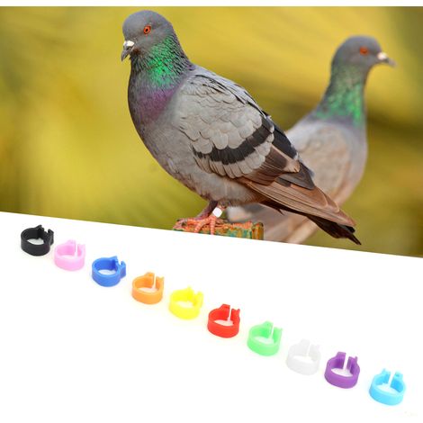 200 bagues de patte de pigeon de 8 mm, colorées, sans inscription (1/5)