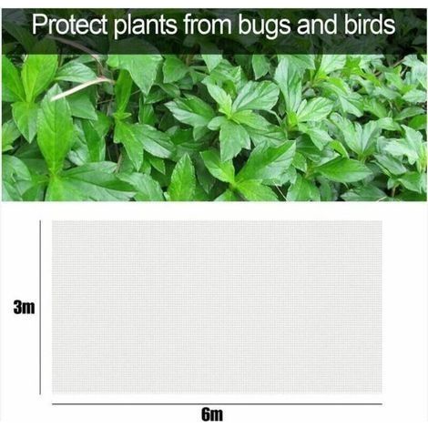 Insektenschutz für den Garten Insektenschutz für den Gemüsegarten Insektenschutz für den Garten Insektenschutz (36) (1/3)