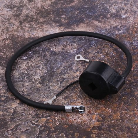 Module de bobine d'allumage pour petit moteur Tecumseh 30560A 29632 30546 610768 611038 (1/5)