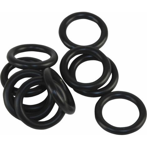 BOSCH O-Ring 17x4 (10x), 87167711540