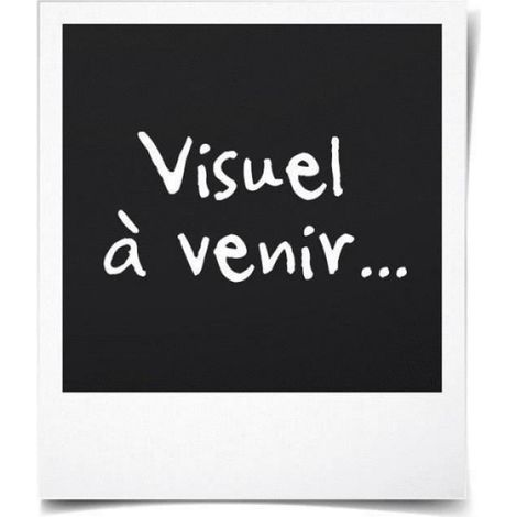 Sèche-cheveux mural - 1200 W - 220 V - Montage murale - Blanc - ABS - Pour salle de bains hôtel ou domicile - 1 pièce (1/4)