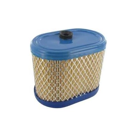 Filtro aria BRIGGS et STRATTON 695302