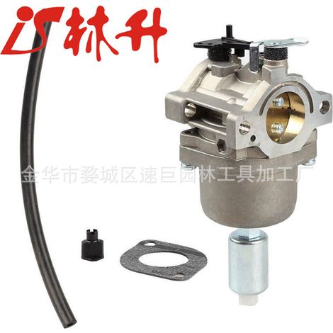 Carburateur compatible with the generators Champion 76533 100307 GPL 224 cm3 (1/4)