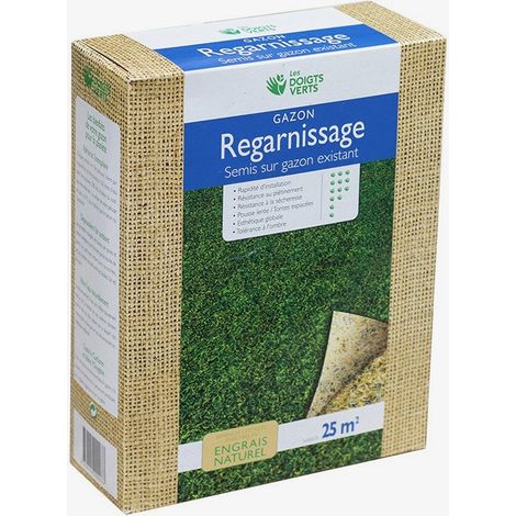 Gazon de regarnissage enrichi 500g