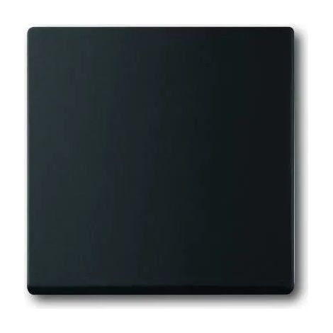 Placa de acabado Busch-Jaeger future linear IP20 lacado