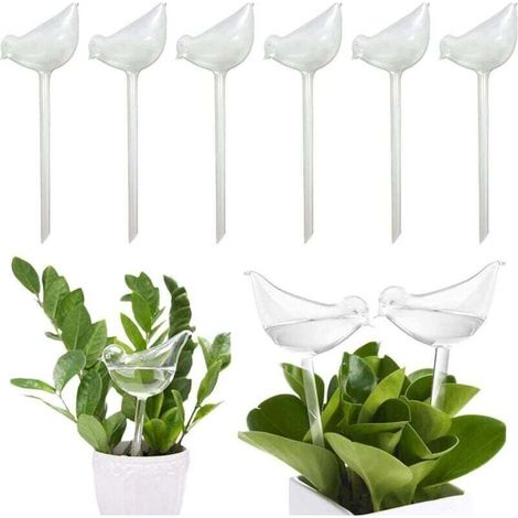 6 Boules d'Arrosage en Verre Transparent Système Autonome pour Plantes Intérieur Extérieur