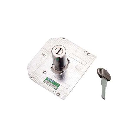 CILINDRI A POMPA PER SERRATURE CON 3 CHIAVI PIATTE Ø MM.34- - 91111C10 mm.60 adatto per 30.600 - 30.651 - 1 pezzi MOTTURA