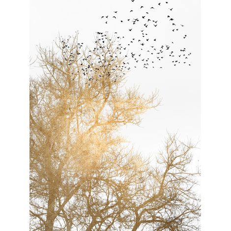 Papier peint panoramique arbre et oiseaux Tapisserie panoramique idéal pour bureau Papiers peints panoramiques noir, jaune et blanc (1/2)