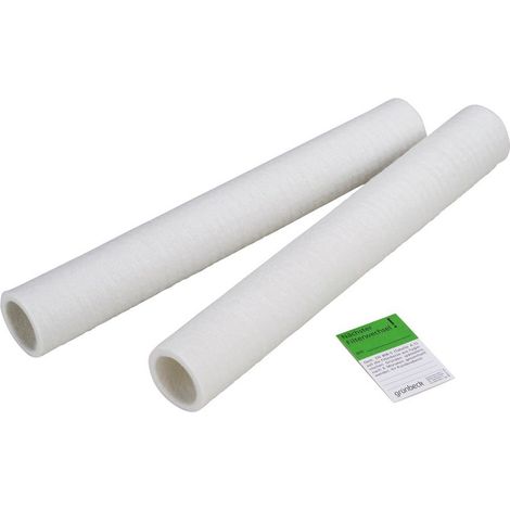 Grünbeck Ersatzfilterkerze 50 µm, 2erPack Größe 5 ohne Schutzglocke, 103044 (1/4)